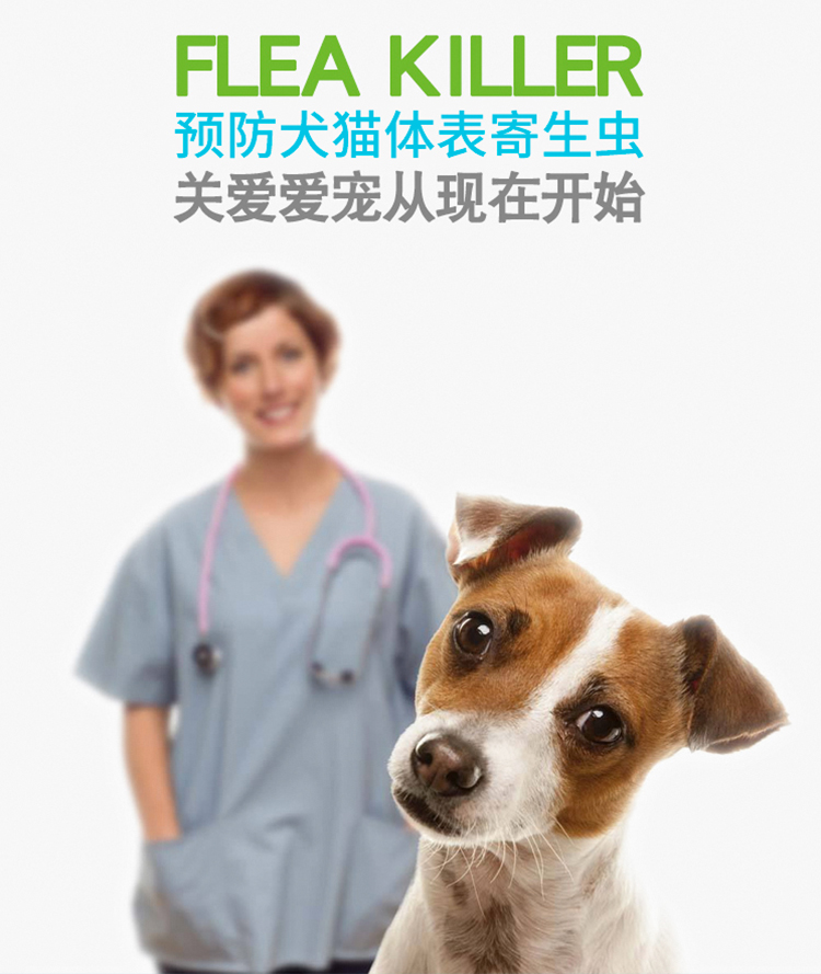 虫蚤请_08.jpg